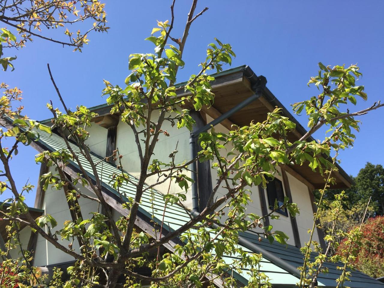 Kurokawa Mori No Cottage 南小国町 外观 照片