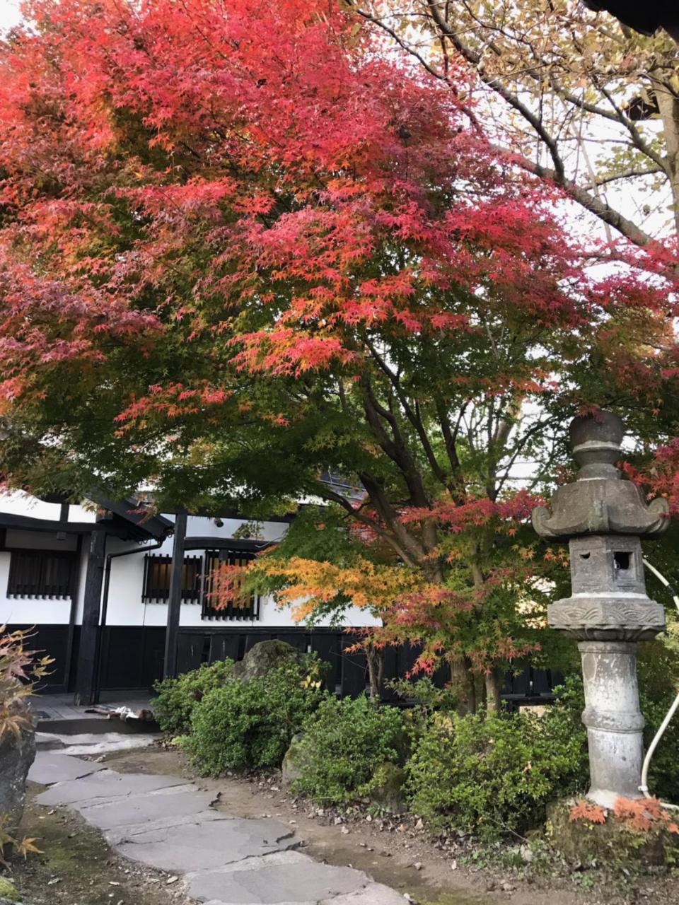Kurokawa Mori No Cottage 南小国町 外观 照片